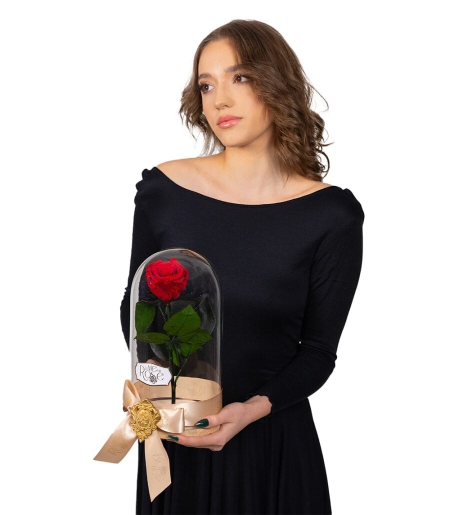 Flora Ria Red Roz Red Cryogenic Rose in Glass Dome • La Vie en Rose Flower Shop Dubai ...